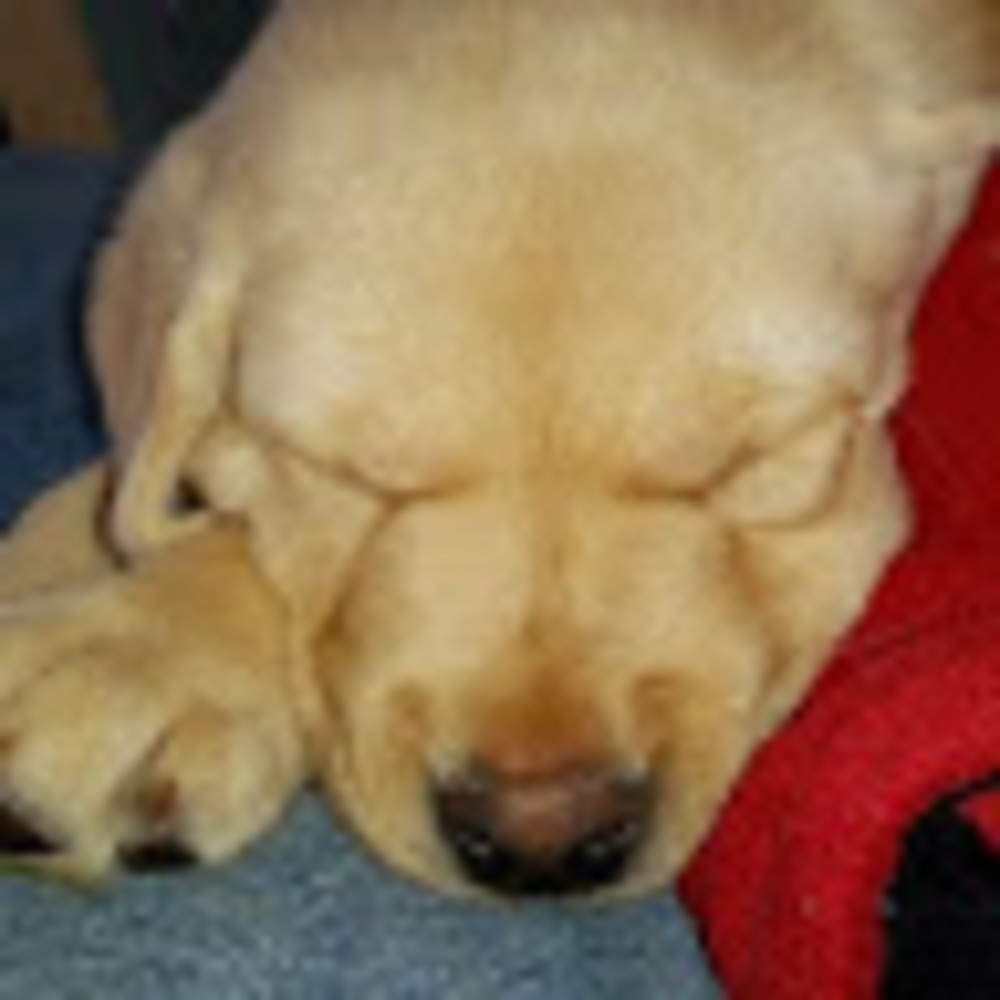 Meet your Posher, Cajun